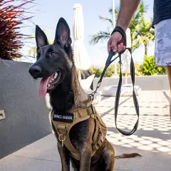 Shed Defender 5 ft. Standard Dog Leash - Three Padded Traffic Handles - Dual Layered Thickness