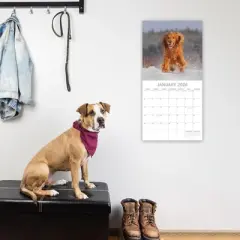 2026 Square Wall Calendar, Cocker Spaniels, 16-Month Paw Prints Theme with 180 Reminder Stickers (12x12 In)