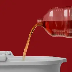 Multi-Surface Liquid Disinfectant Cleaner - Pine - 56 fl oz - up&up&trade;