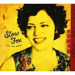 Slow Fox - Like the Birds (CD)