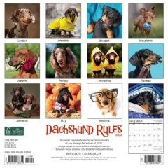 Willow Creek Press 2024 Wall Calendar 12"x12" Dachshund Rules