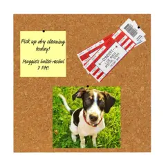 Flipside Products Cork Tiles, 12" x 12", Set of 4