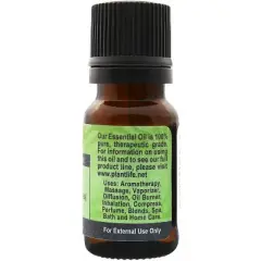 Plantlife Tarragon Essential Oil &ndash; 100% Pure & Therapeutic Grade &ndash; Natural, Undiluted & Steam-Distilled &ndash; No Additives or Fillers &ndash; 10 ml