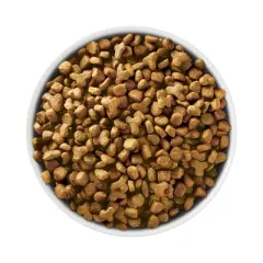 Purina ONE Sensitive Skin & Stomach Adult Premium Turkey Flavor Dry Cat Food