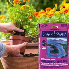 Coast of Maine OMRI Listed Bar Harbor Blend Organic Compost Potting Soil Blend for Container Gardens and Flower Plant Pots, 16 Quart Bag