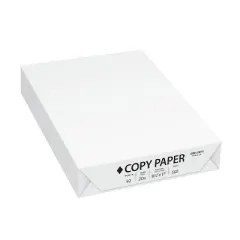 Staples Copy Paper 8.5" x 11" 20 lbs. White 500 Sheets/Ream (14610) 14610/200230