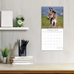 2026 Square Wall Calendar, Donkeys, 16-Month Animals Theme with 180 Reminder Stickers (12x12 In)
