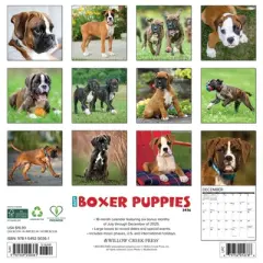 Willow Creek Press 2026 Boxer Puppies Wall Calendar