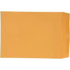 School Smart No Clasp Envelopes with Gummed Flap, 9 x 12 Inches, Kraft Brown, Pack of 250