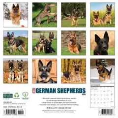 Willow Creek Press 2026 German Shepherds Wall Calendar