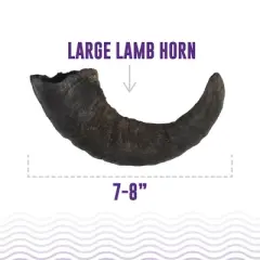 Icelandic+ Large Lamb Horn Dog Chew
