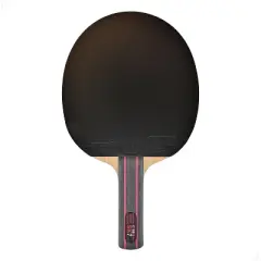 Butterfly Korbel SK7 ST Pro-Line Racket + Dignics 09c  + Tenergy 05 Hard