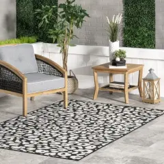 nuLOOM Terenia Leopard Indoor/Outdoor Patio Area Rug