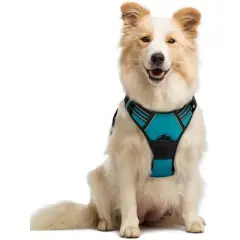 rabbitgoo Dog Harness No Pull with 2 Leash Clips, Control Handle for Medium Sized Dogs, Teal, M