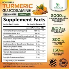 Turmeric Curcumin Supplement 2000mg Glucosamine Chondroitin, Ginger, 95% Curcuminoids, BioPerine Black Pepper - 240 Capsules By Nature's Nutrition