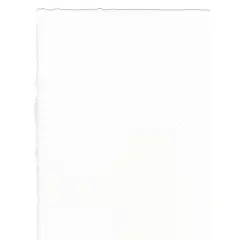 Arches Watercolor Paper 140 Lb. Rough Bright White 22 In. X 30 In. Sheet (100511511)