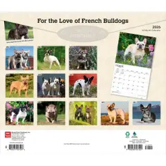BrownTrout For the Love of French Bulldogs 2026 14"x24" Hanging Deluxe Wall Calendar Plastic-Free