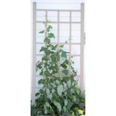 66" Cottage Vinyl Trellis - White - Dura-Trel