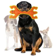 DuraForce Lizard Dog Toy - Orange