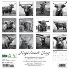 Willow Creek Press 2026 Highland Cows Black and White Wall Calendar