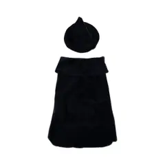 Midlee Halloween Witch Cape and Hat Dog Costume