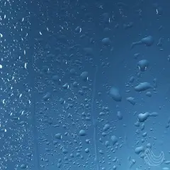 Innatus Contentment Shower Spray with Eucalyptus & Geranium &ndash; Made in the USA-IN-1054