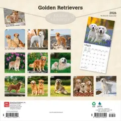 BrownTrout Golden Retrievers 2026 12"x24" Hanging Square Wall Calendar Plastic-Free