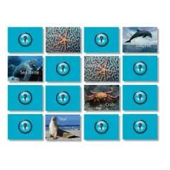 Stages Learning Materials Photographic Memory Matching Game, Sea Life