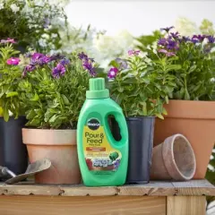 Miracle-Gro Pour & Feed Liquid Plant Food 32oz Ready to Use: Indoor & Outdoor Container Fertilizer