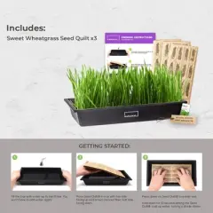 Hamama Wheatgrass Seed Quilts, Pack of 3, Organic & Non-GMO Microgreen Seeds &ndash; Includes 3 Wheatgrass Grass Seed Quilts