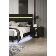 Sapphtopaz Contemporary Nightstand with 2 Drawers Unique Handle Bedside Table with Metal Legs & Acrylic Trim Night Stand for Bedroom,Living Room