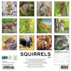 Willow Creek Press 12"x12" 2026 Squirrels Wall Calendar