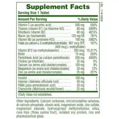 Mega Stress Complex Time Release by Nature's Plus  -  60 Sustained Release Tablet