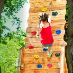 VEVOR 25 Rock Climbing Holds,Multi-Size and Colored Climbing Rocks for Kids and Adults,Rock Wall Holds with Knotted Rope,Handles and Mounting Hardware