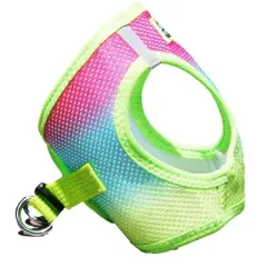 Doggie Design American River Choke Free Dog Harness Ombre Collection-Rainbow