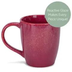 Elanze Designs Reactive Glaze 17 ounce Ceramic Curved Body Mugs Set of 4, Maraschino Red