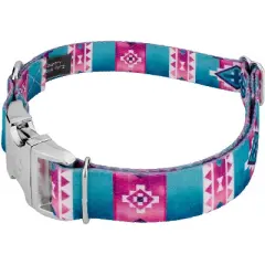 Country Brook Petz Premium Dog Collar and Leash - Country and Western Collection