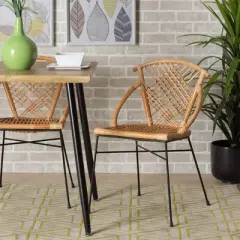 2pc Pro Rattan and Metal Dining Chair Set Natural/Brown - bali & pari