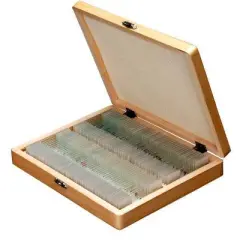 100pc Set of Prepared Biological Glass Slides in a Wooden Storage Box - AmScope