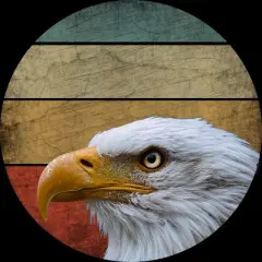 Men's Design By Humans Vintage Eagle Watching By punsalan Tank Top