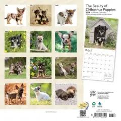 StarGifts 2024 Wall Calendar 12"x12" The Beauty of Chihuahua Puppies