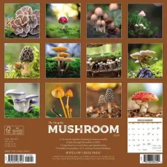 Willow Creek Press 2024 Wall Calendar 12"x12" The Art of the Mushroom