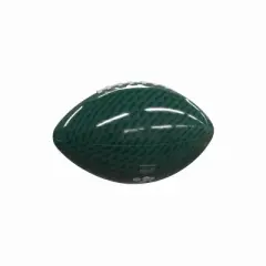 NCAA Colorado State Rams Mini-Size Glossy Football