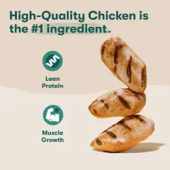 Jinx Broth Bone Dog Treat Biscuits with Chicken Flavor - 16oz