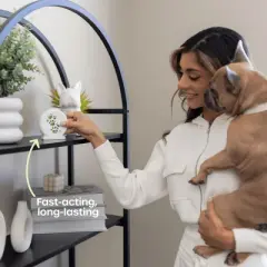 PetFriendly Calming Diffuser for Dogs