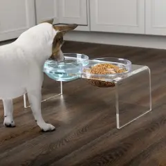 PETMAKER Elevated Acrylic Stand and Pet Bowls Set