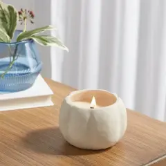 12oz Brushed Abstract Pumpkin Ceramic with Woodwick and Dustcover Warm Cider + Cinnamon Candle - Threshold&trade;