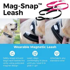 Shed Defender Mag-Snap Dog Leash - Wearable Magnetic Leash - 5 ft.