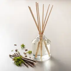 11.83 fl oz Willow Oil Reed Diffuser - Hearth & Hand&trade; with Magnolia