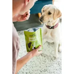 Ready Pet Go Probiotic Chews for Dogs Gut Health Immunity Itchy Skin and Seasonal Allergies, Probiotics for Dogs Digestive Health, Cheese Flavor, 90ct